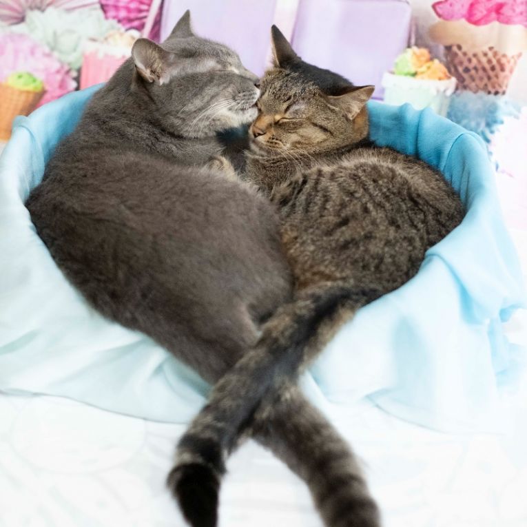 なつ＆ゆずちゃん