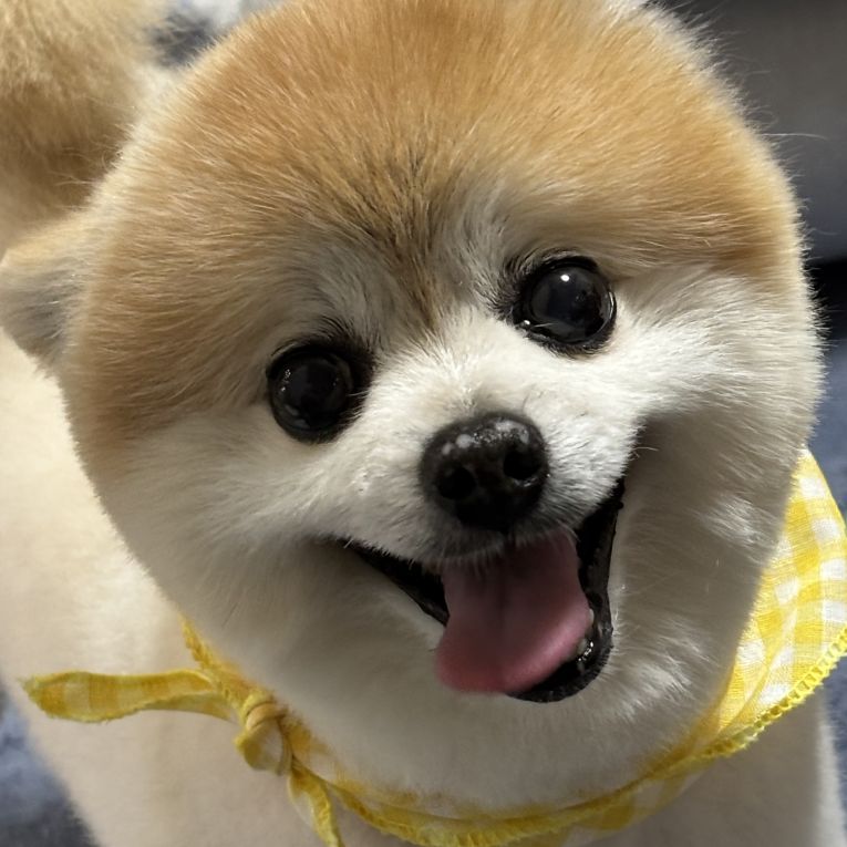 ＣＯＣＯちゃん