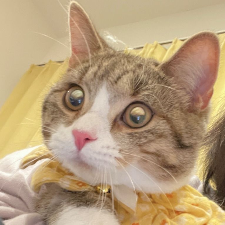 ゆきちちゃん