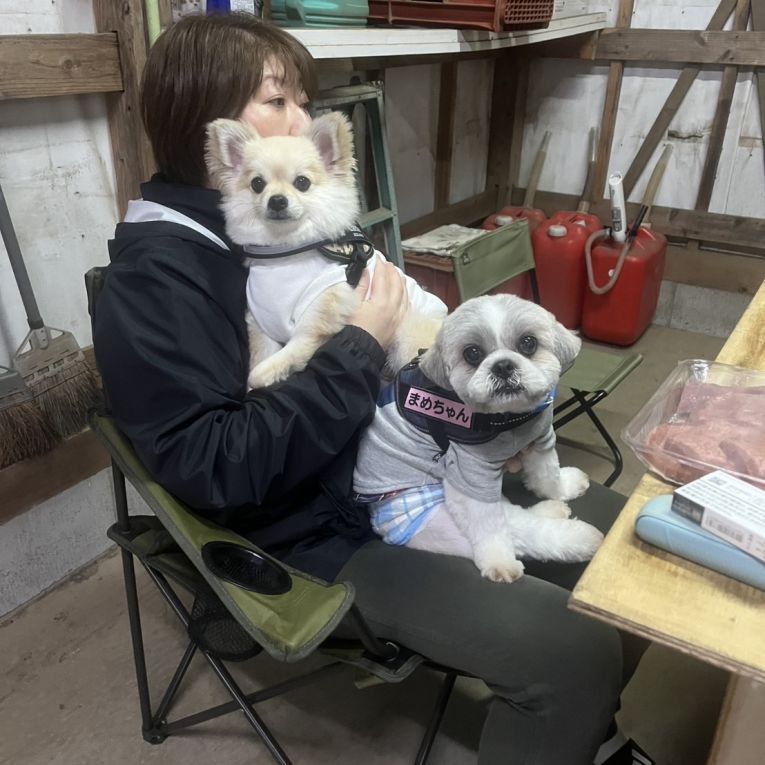 ラテ　　まめちゃん
