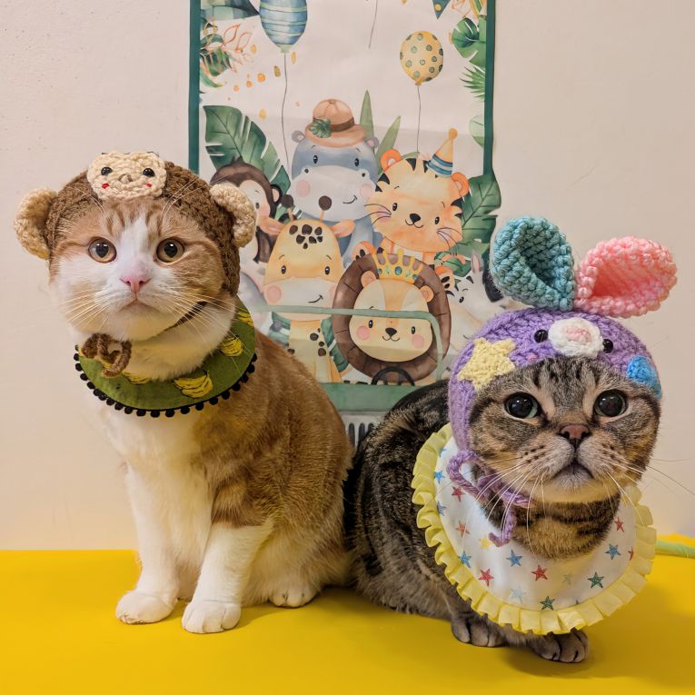 杜阿＆杞阿ちゃん