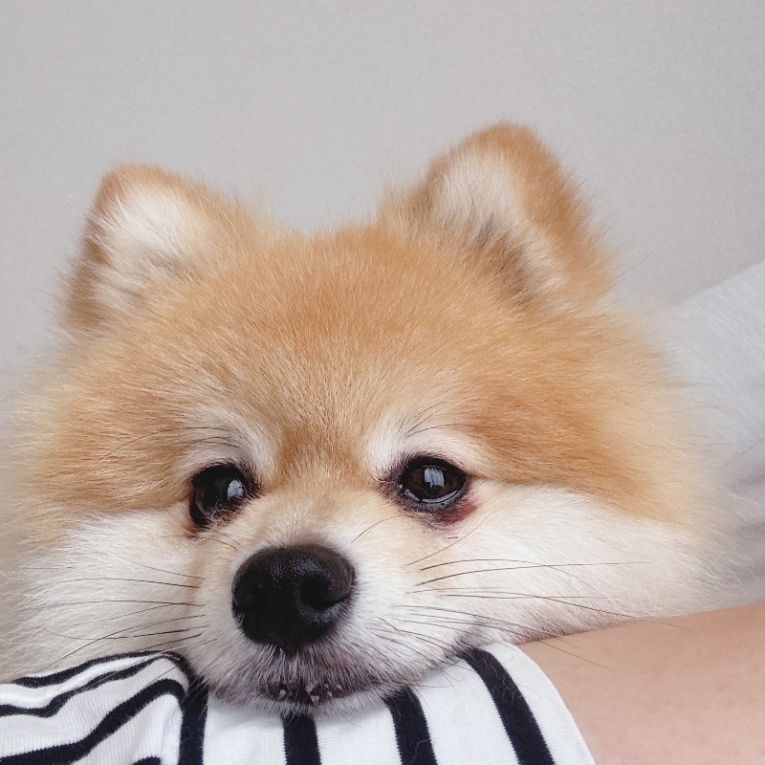ハルちゃん