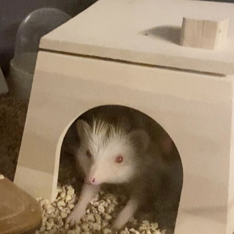 ぽったーちゃん