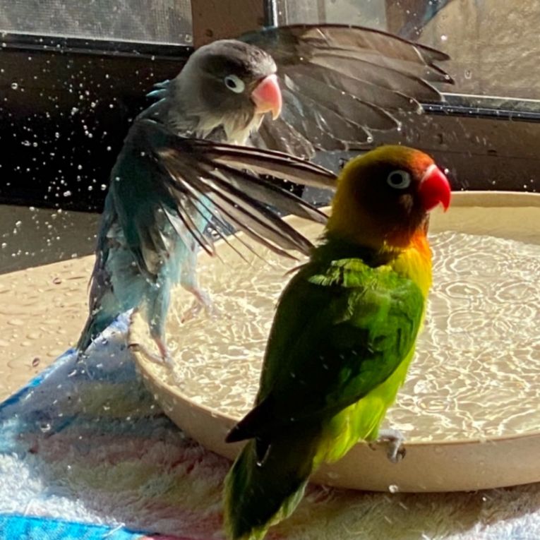 ベル・ベイちゃん