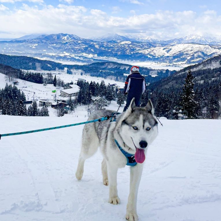 アルフレートちゃん