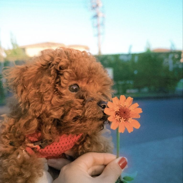アリちゃん