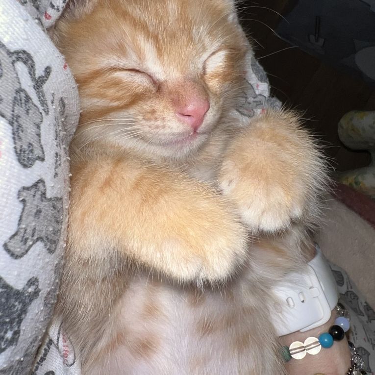 太陽(サン)ちゃん