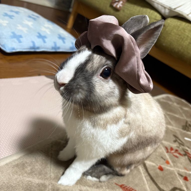 くるんちゃん