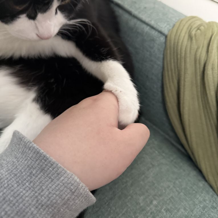 おはぎちゃん