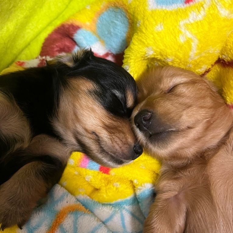 ノア&モンちゃん