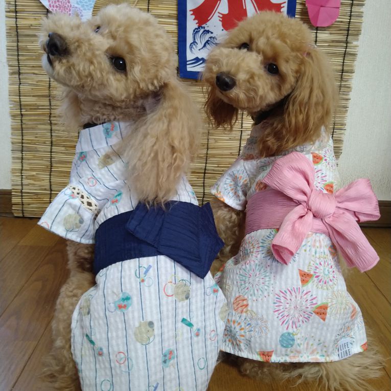 アンジュとイリスちゃん