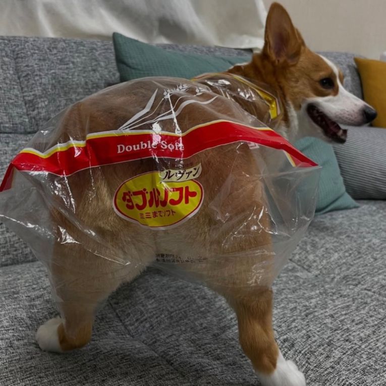 mugiちゃん