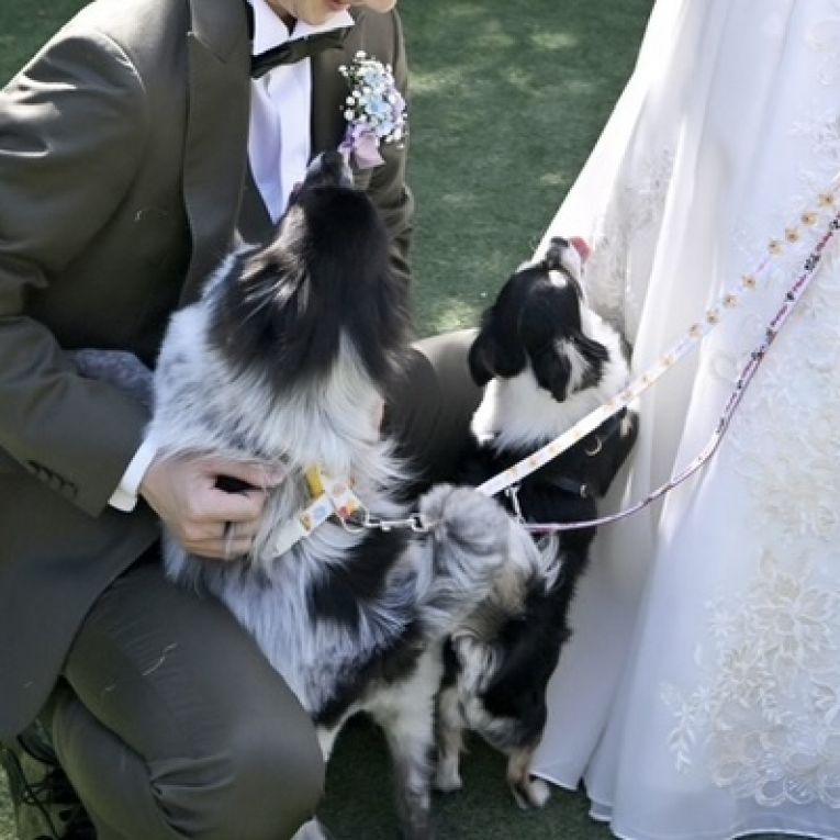 ぽん　じょーじちゃん