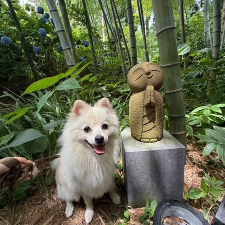 ちょっぱーちゃん