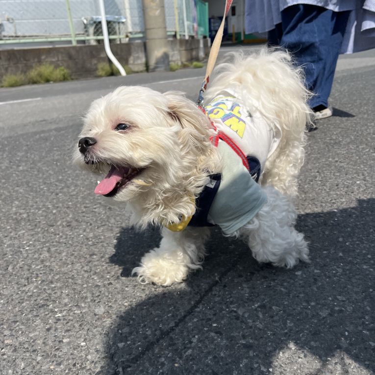 そうすけちゃん