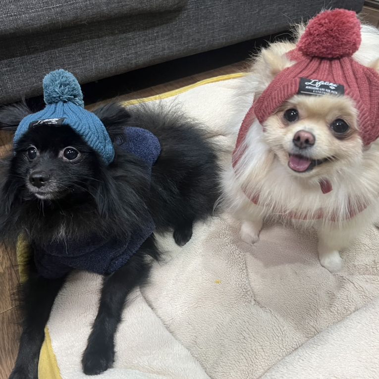 ろろ＆りりちゃん