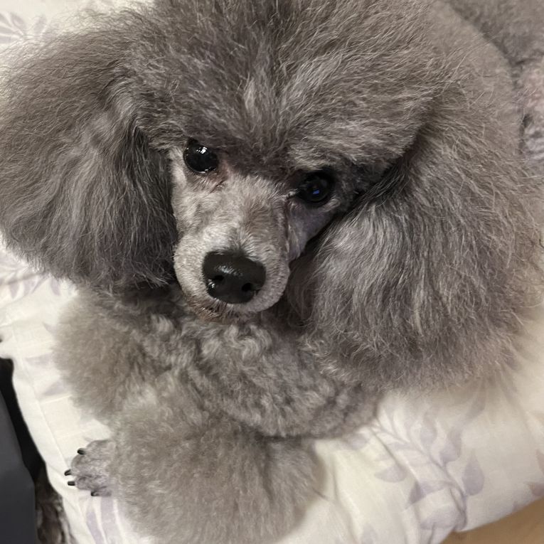 ルゥちゃん