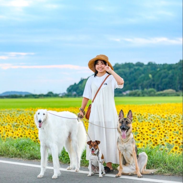 マイロ にこ レティちゃん
