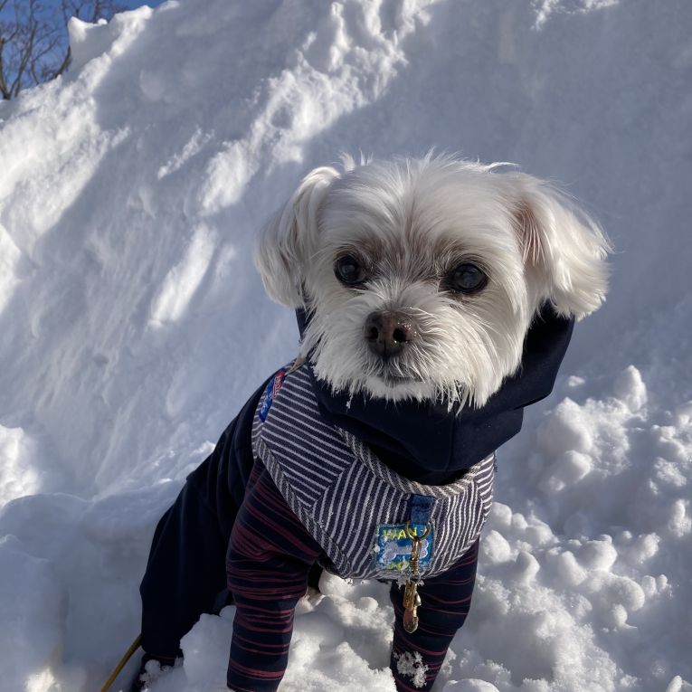 ヨナタンちゃん