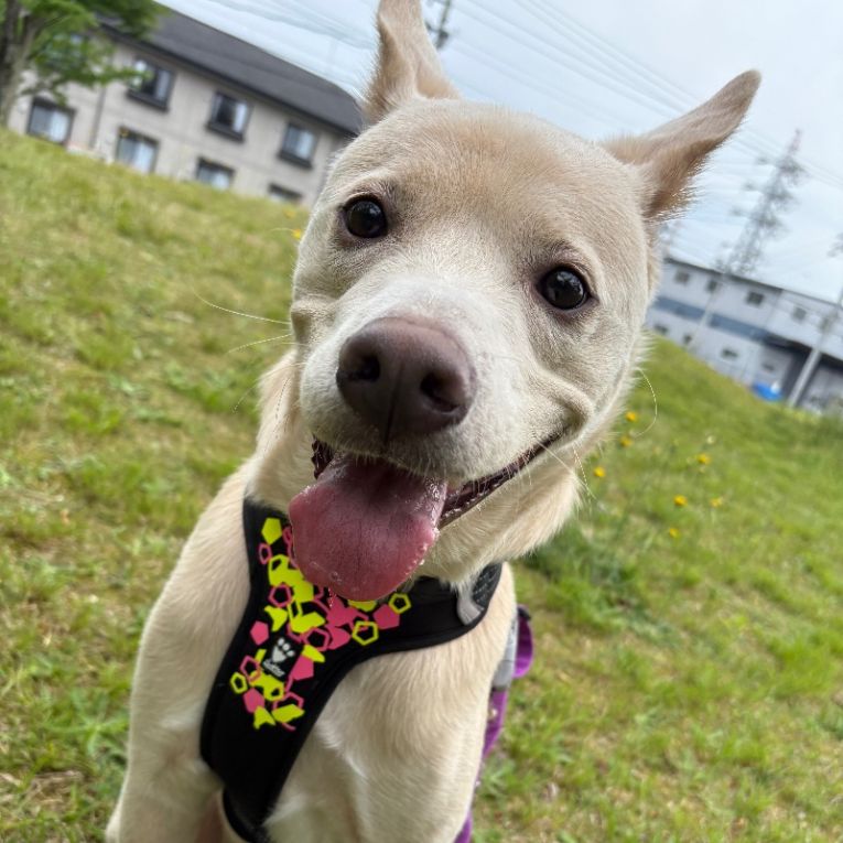 いちろくちゃん