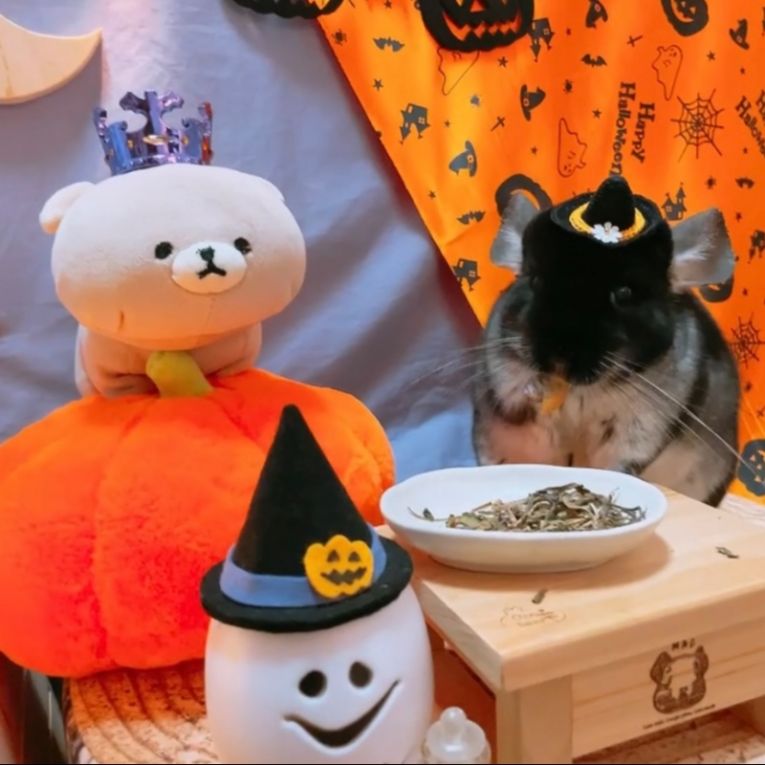 MACちゃん