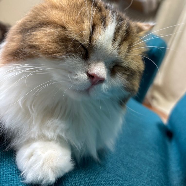 ぽるちゃん