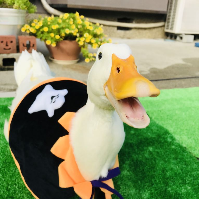 もっちちゃん