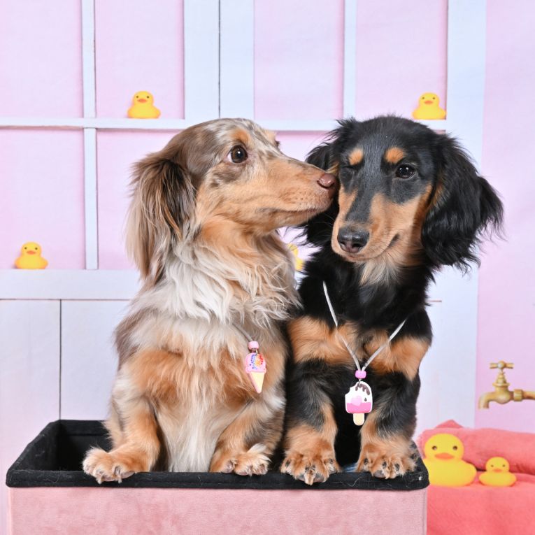 あれん　りんちゃん