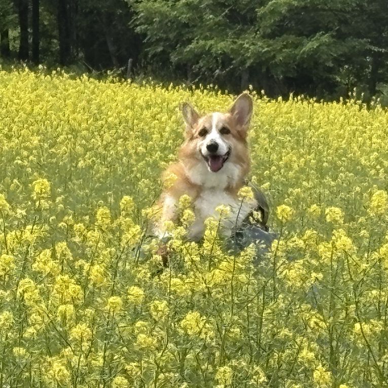 もずくちゃん