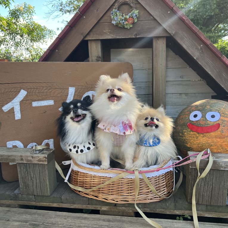 むぎぽんココちゃん