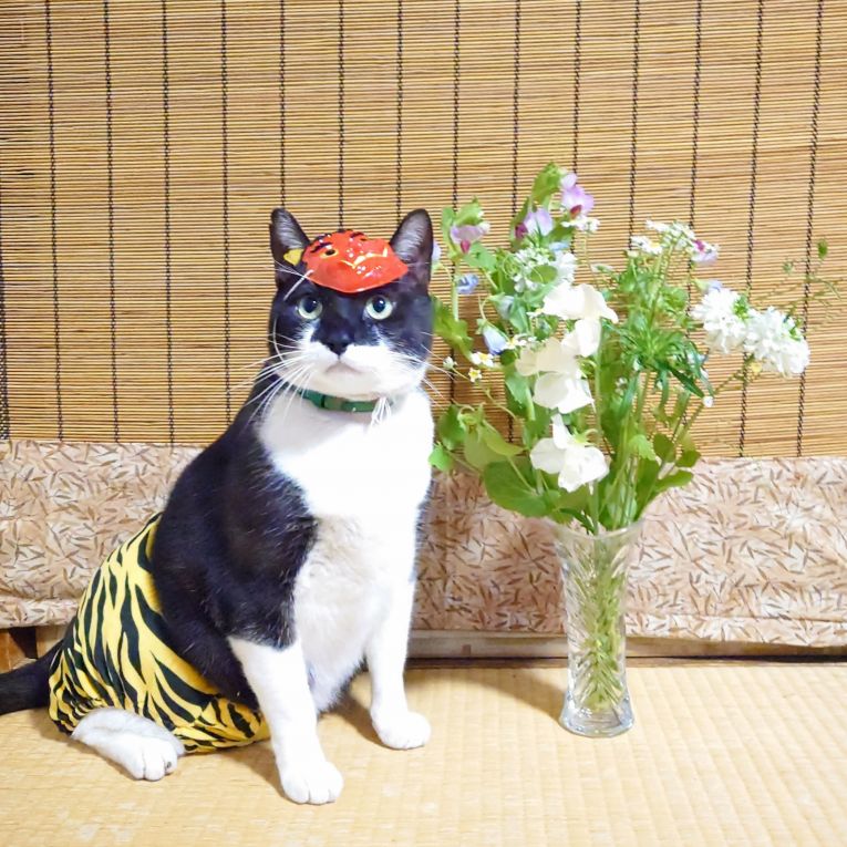 ちーくんちゃん