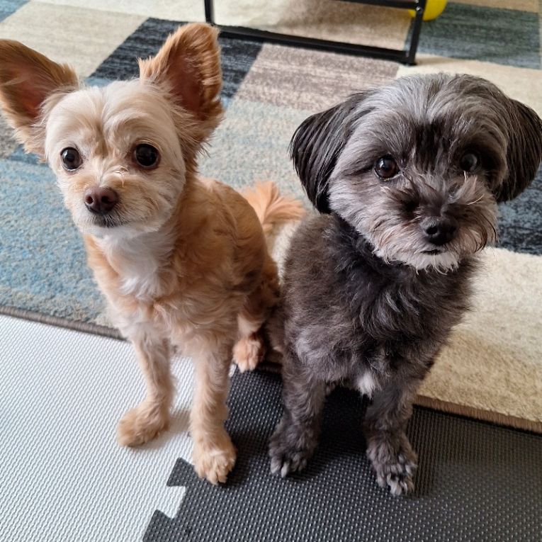 ラテ＆モカちゃん