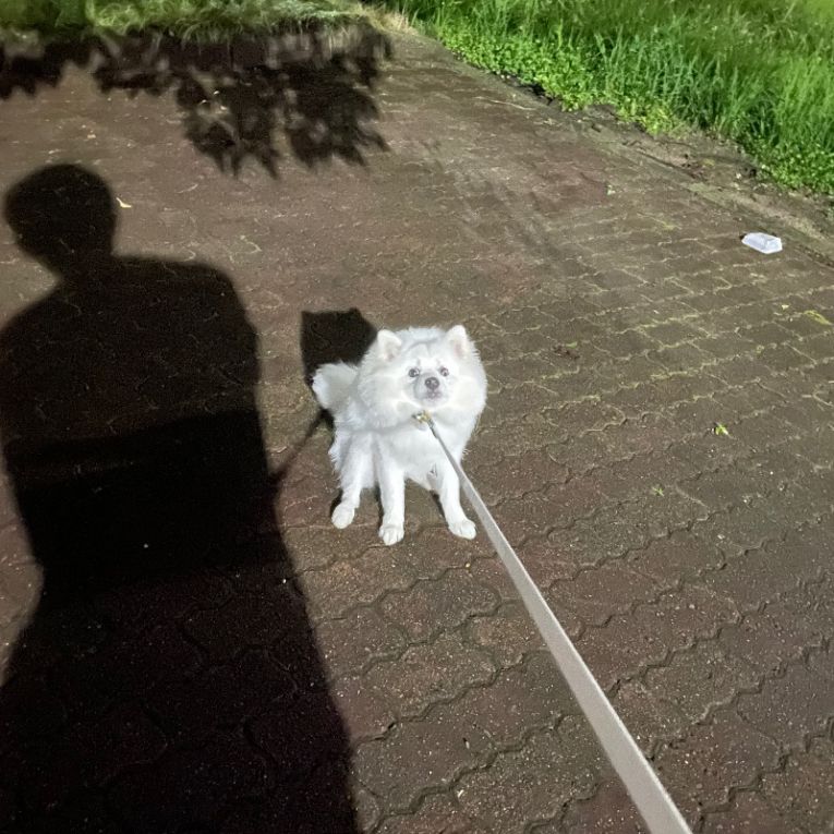 ビビちゃん