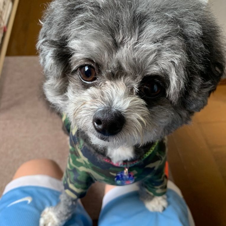 アンジュちゃん