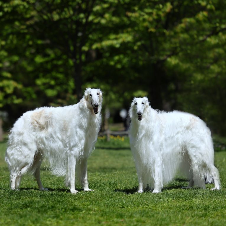 ブレイカーちゃん