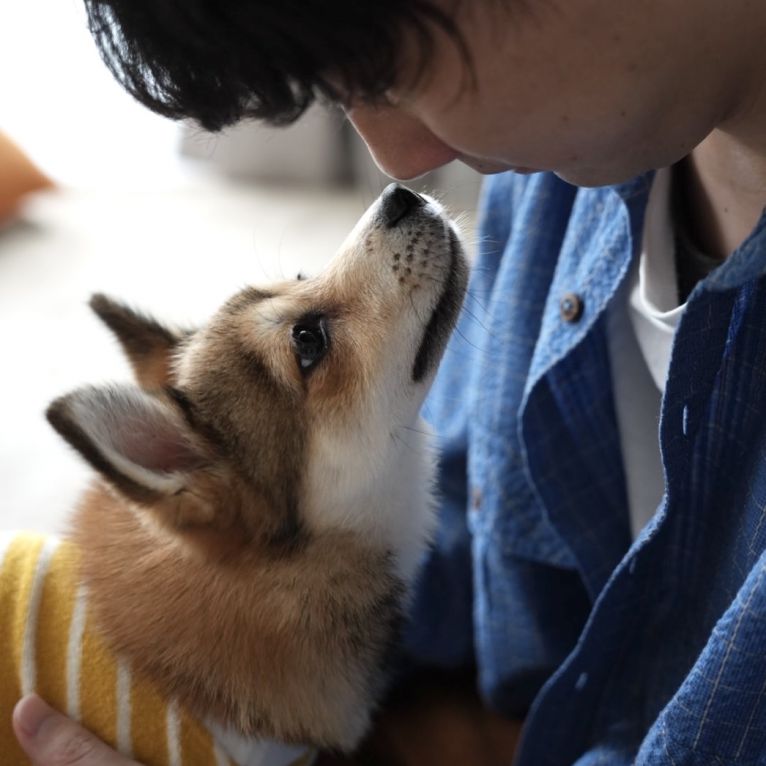 さくちゃん