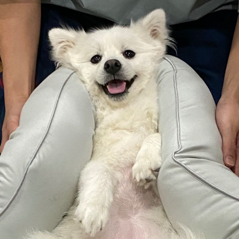 ビビちゃん