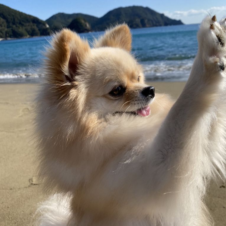 レンちゃん
