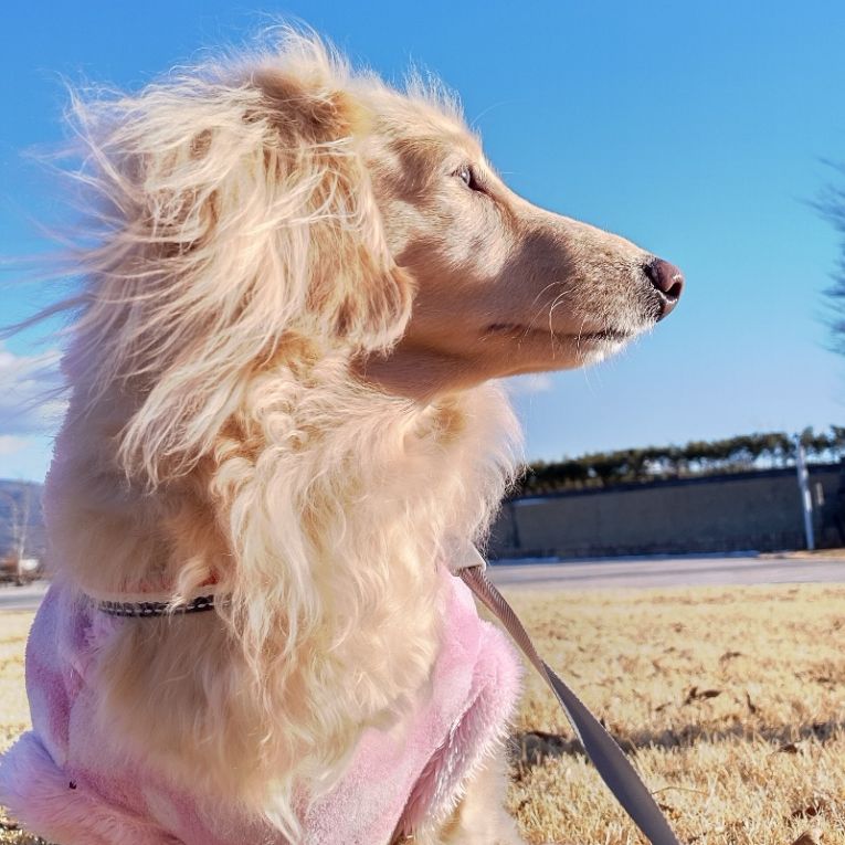 たっくんちゃん