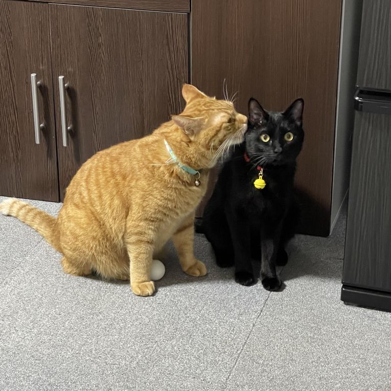 テン・おはぎちゃん