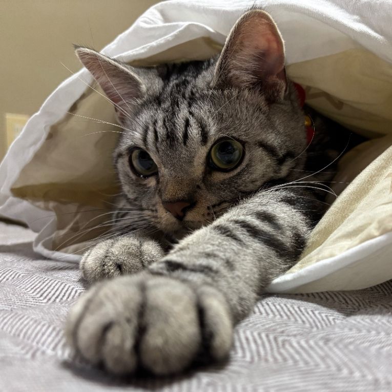 むにちゃん