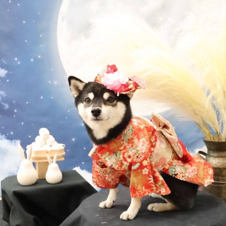まなちゃん