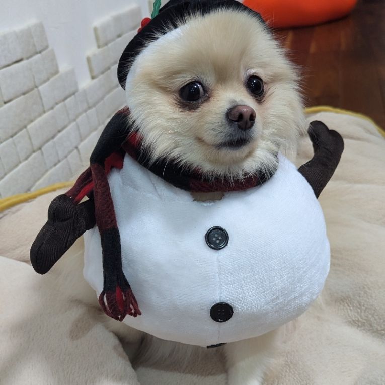 りりちゃん