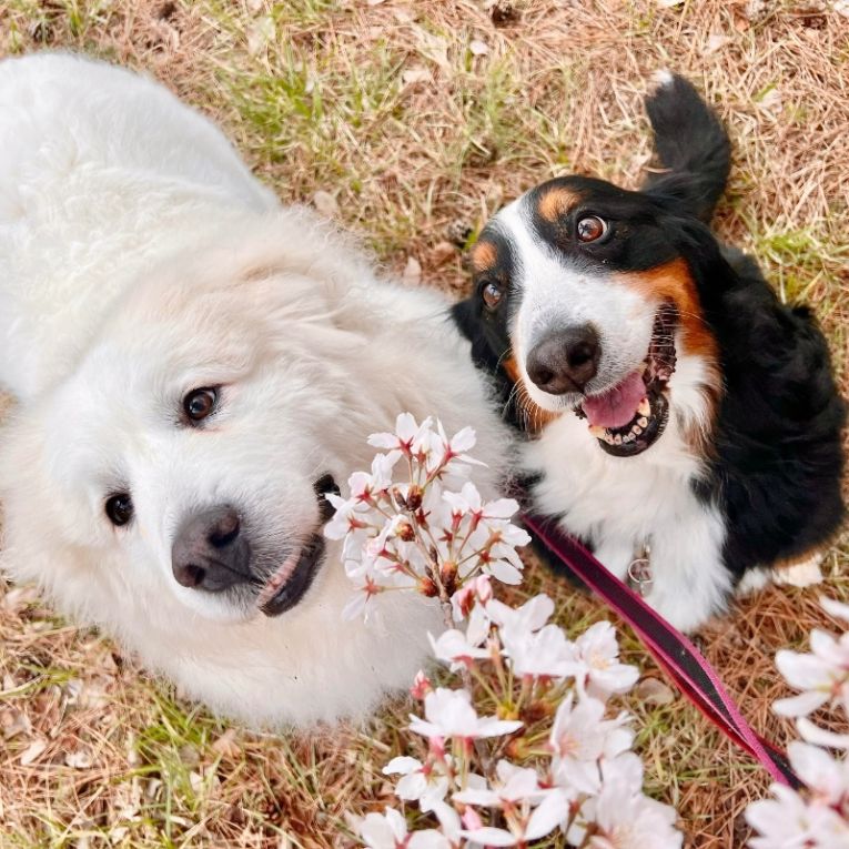ジェニとムーちゃん