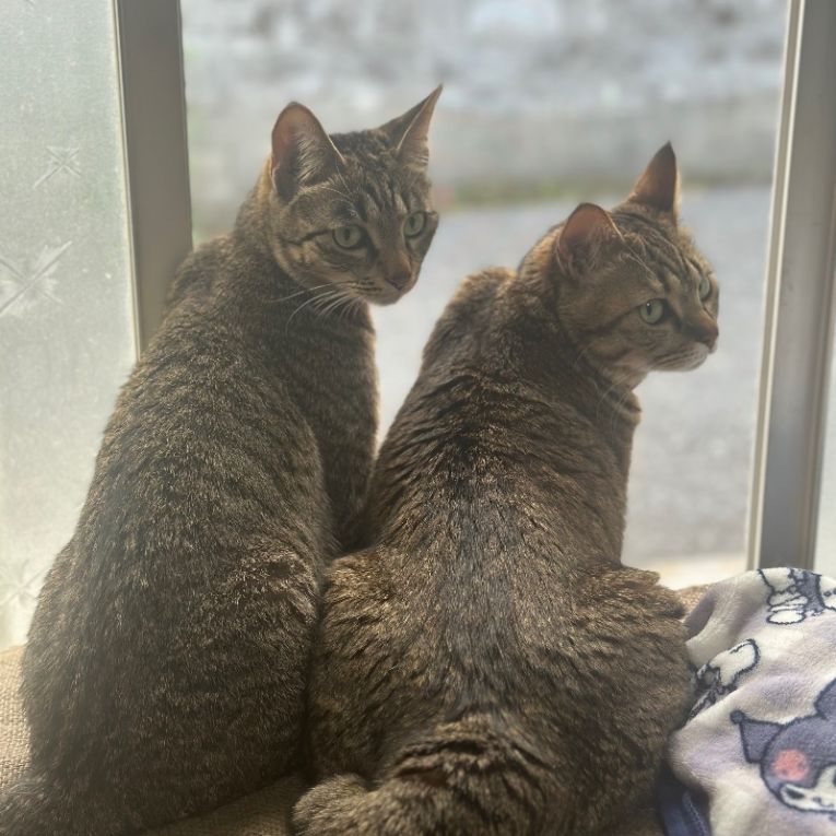 こんぶ&メルちゃん