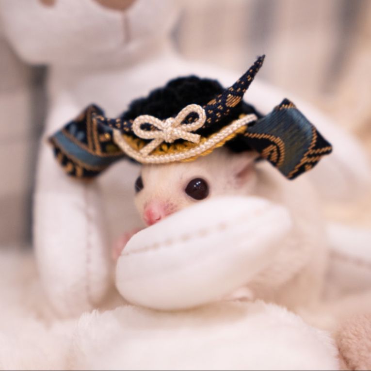 ももちゃん