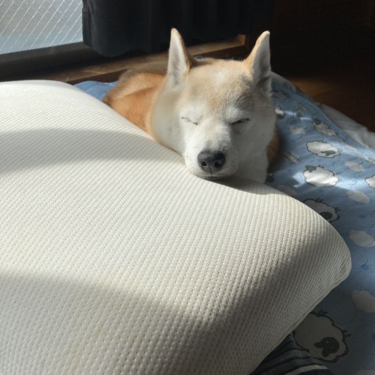 こうめちゃん