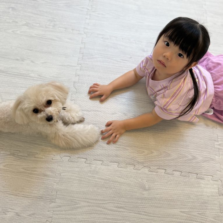 ぶぶ　さらんちゃん