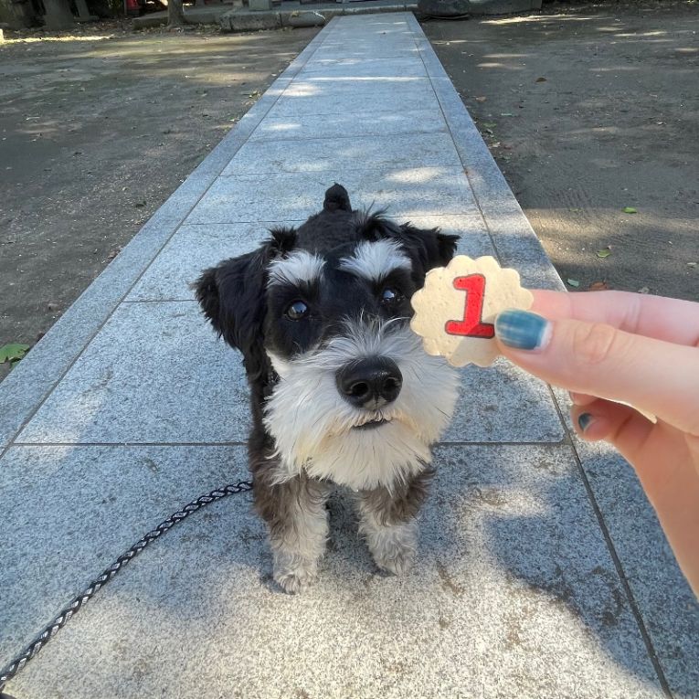 じじさんちゃん