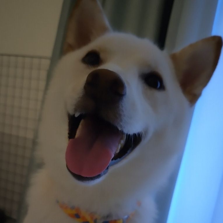 こうめちゃん
